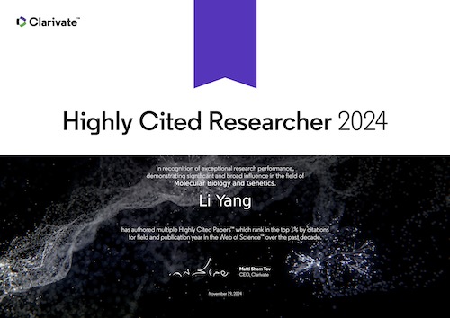 2024_Clarivate_highly_cited_reseacher_Li Yang.jpg